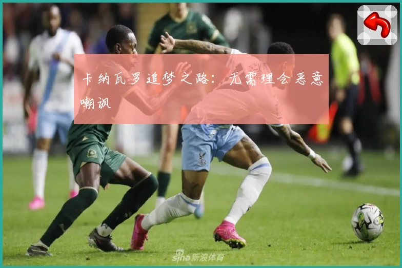 卡纳瓦罗追梦之路：无需理会恶意嘲讽